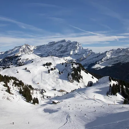 Appartamento La Berciere 7 By Interhome Villars-sur-Ollon