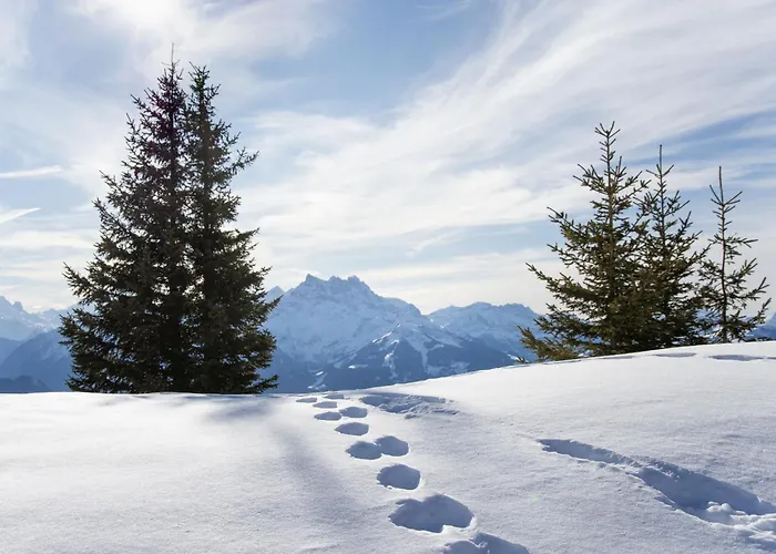 La Berciere 7 By Interhome Appartamento